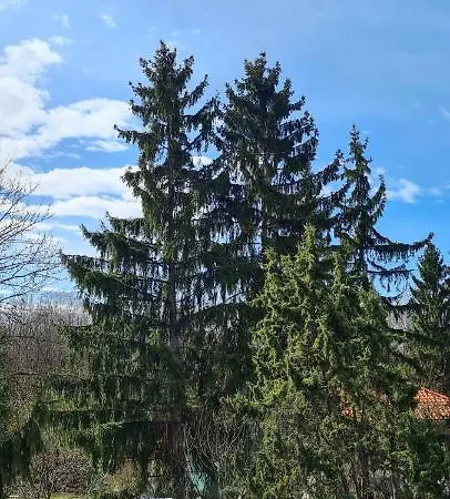 Dolgozoi Szallas, Munkasszallas *